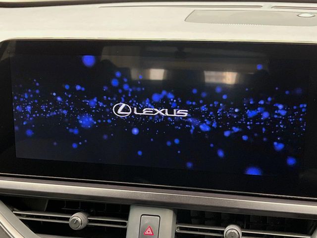 TOYOTA LEXUS UX250h AWD 2022