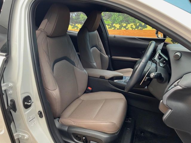 TOYOTA LEXUS UX250h AWD 2022