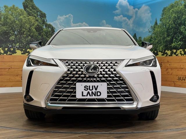 TOYOTA LEXUS UX250h AWD 2022