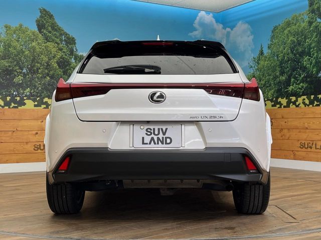 TOYOTA LEXUS UX250h AWD 2022