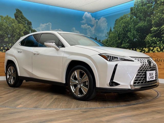 TOYOTA LEXUS UX250h AWD 2022