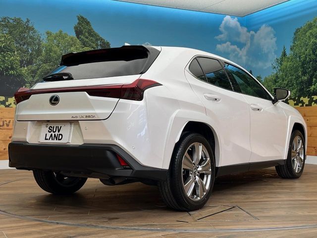 TOYOTA LEXUS UX250h AWD 2022