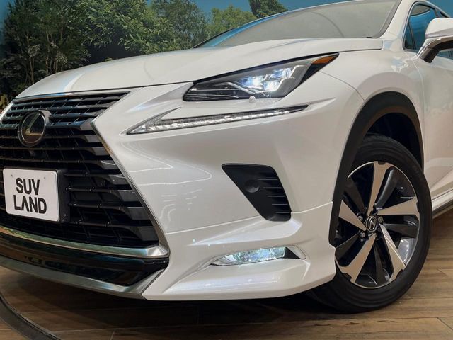 TOYOTA LEXUS NX300h AWD 2018