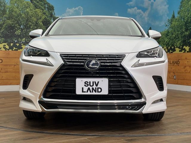 TOYOTA LEXUS NX300h AWD 2018