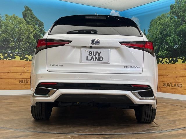 TOYOTA LEXUS NX300h AWD 2018