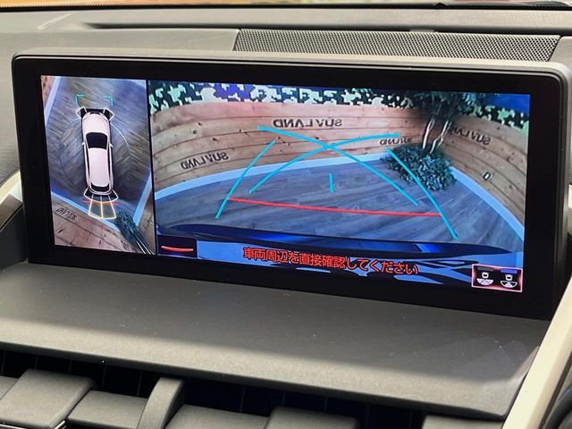 TOYOTA LEXUS NX300h AWD 2021