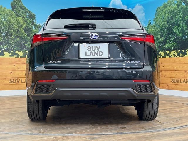 TOYOTA LEXUS NX300h AWD 2021