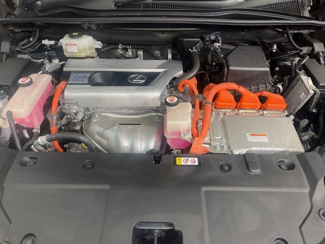 TOYOTA LEXUS NX300h AWD 2021