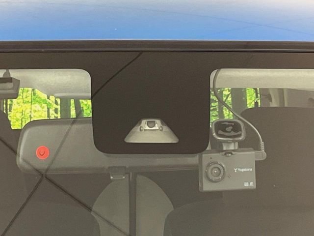 DAIHATSU CAST ACTIVA 2017