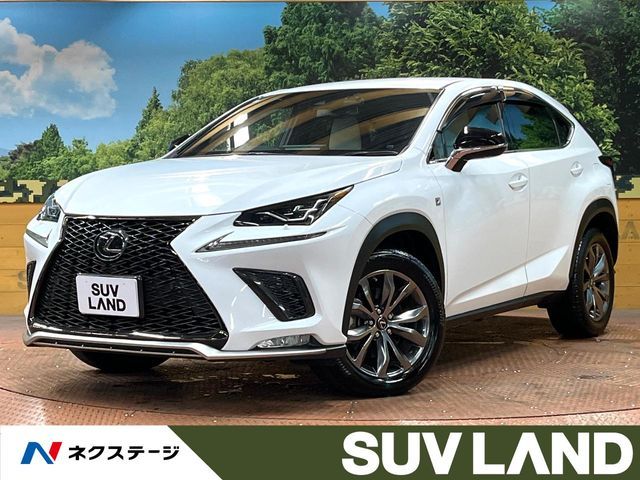 TOYOTA LEXUS NX300 2019