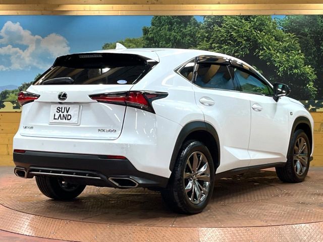 TOYOTA LEXUS NX300 2019