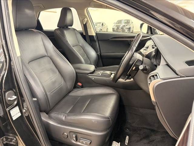 TOYOTA LEXUS NX300h 2019