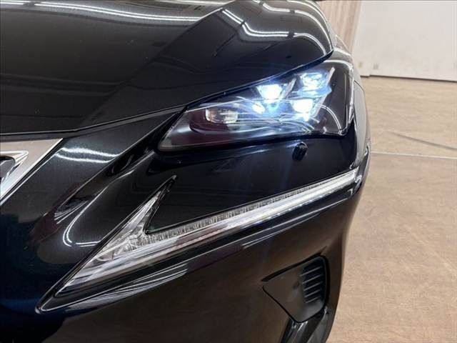 TOYOTA LEXUS NX300h 2019