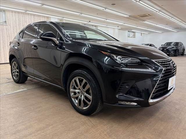 TOYOTA LEXUS NX300h 2019