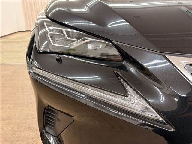 TOYOTA LEXUS NX300h 2019