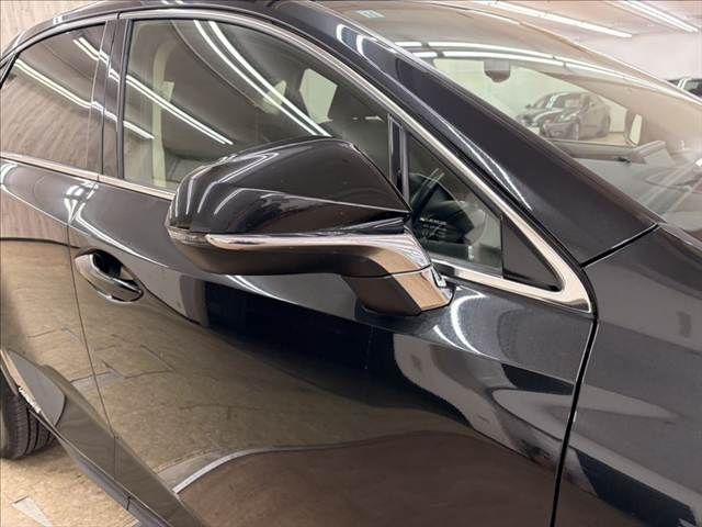 TOYOTA LEXUS NX300h 2019