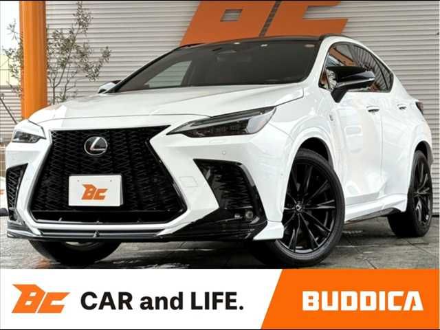 TOYOTA LEXUS NX350h 2023