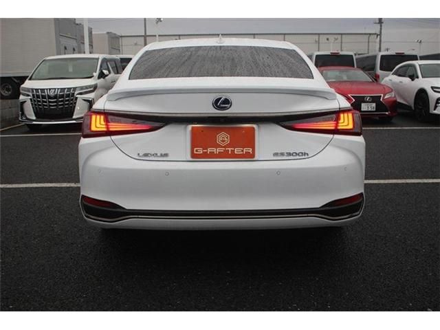 TOYOTA LEXUS ES300h 2022