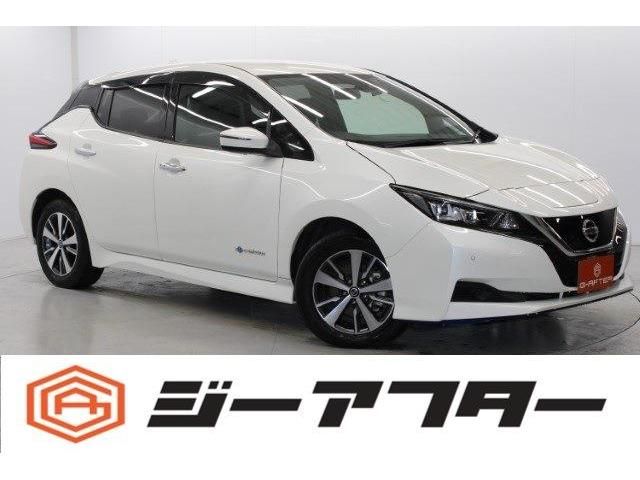 NISSAN LEAF 2020