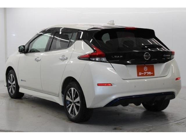 NISSAN LEAF 2020