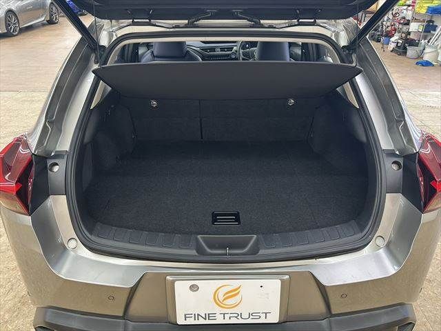 TOYOTA LEXUS UX250h 2019