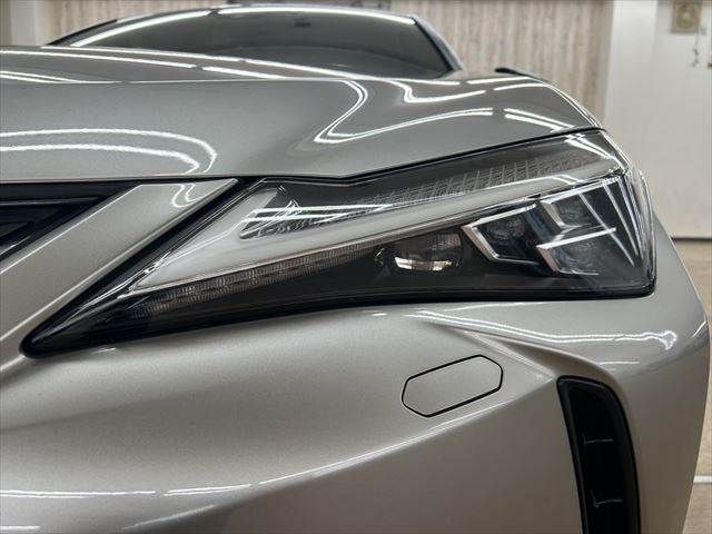 TOYOTA LEXUS UX250h 2019