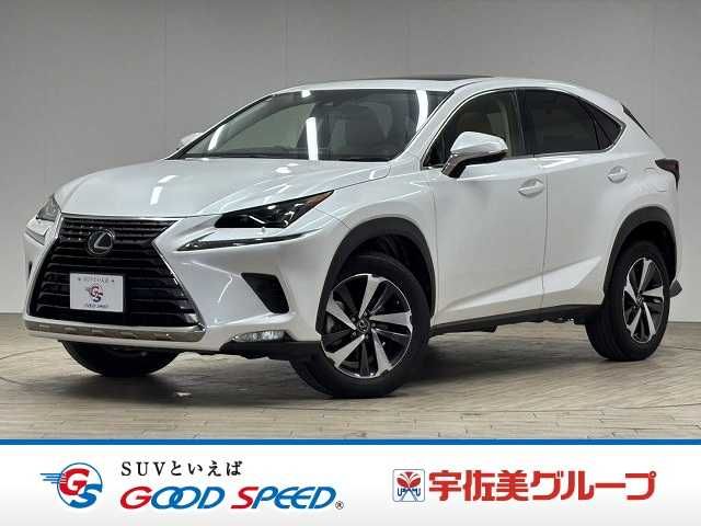 TOYOTA LEXUS NX300 2019