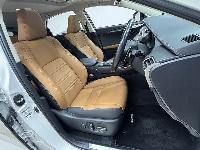 TOYOTA LEXUS NX300 2019