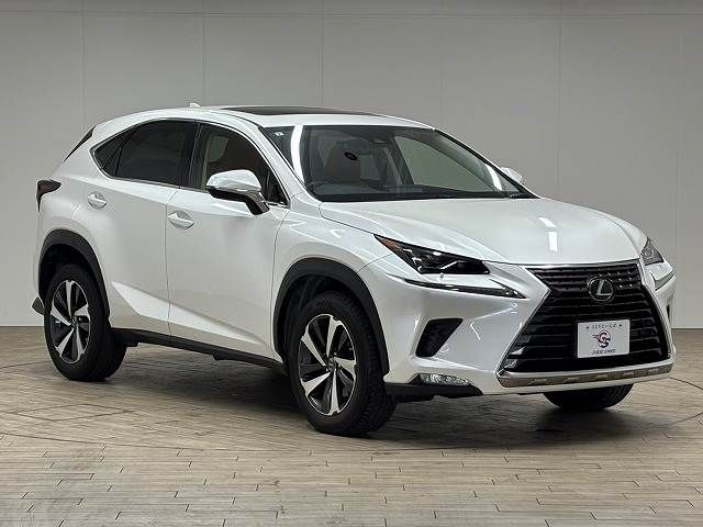 TOYOTA LEXUS NX300 2019