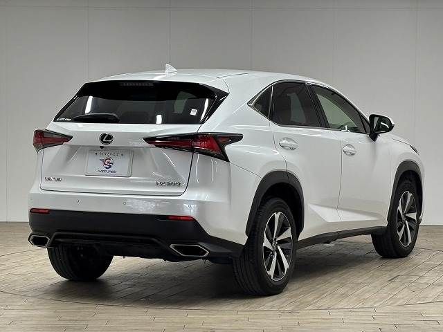 TOYOTA LEXUS NX300 2019