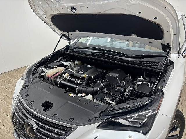 TOYOTA LEXUS NX300 2019