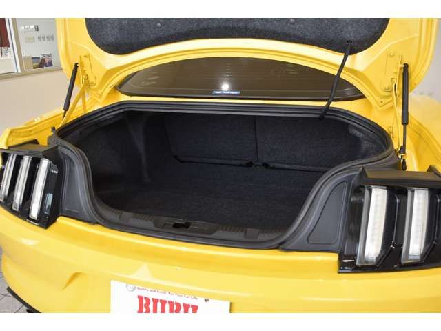 FORD FORD MUSTANG 2015