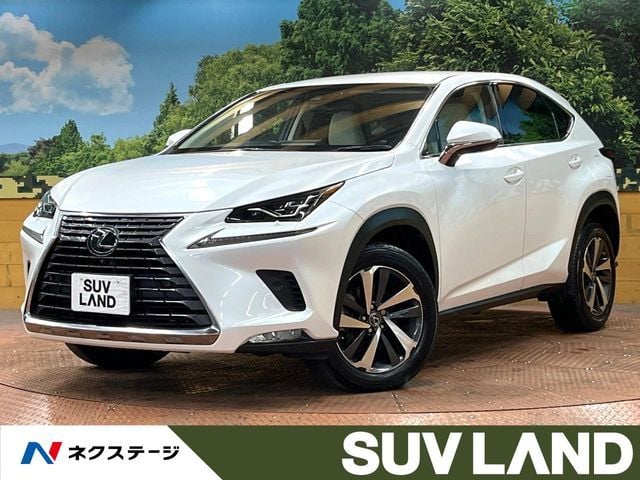 TOYOTA LEXUS NX300 2018