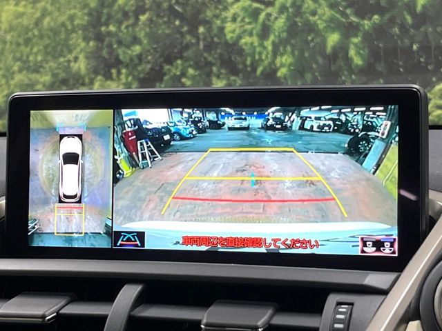 TOYOTA LEXUS NX300 2018