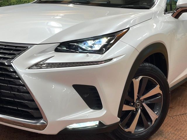 TOYOTA LEXUS NX300 2018