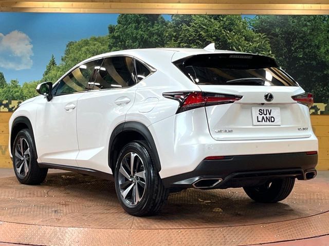 TOYOTA LEXUS NX300 2018