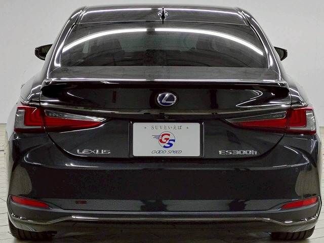 TOYOTA LEXUS ES300h 2019