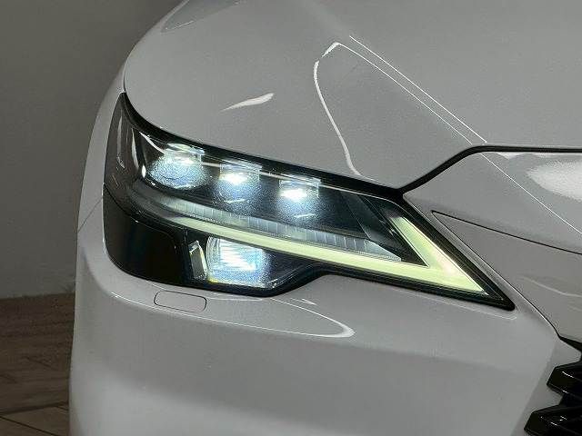 TOYOTA LEXUS RX500h 2023