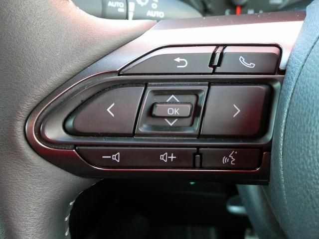 TOYOTA GR YARIS 2021