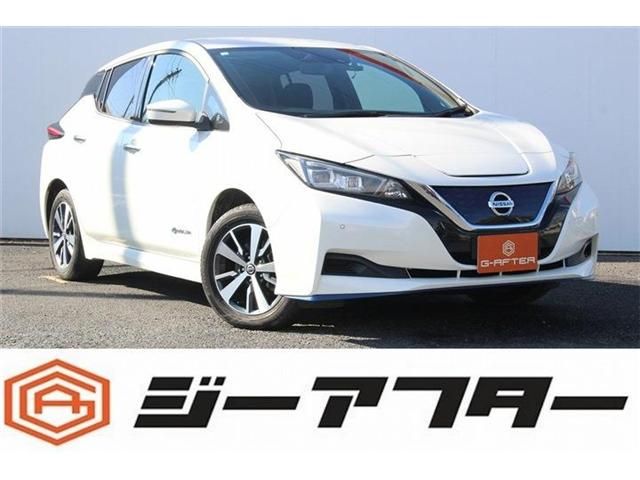 NISSAN LEAF 2020