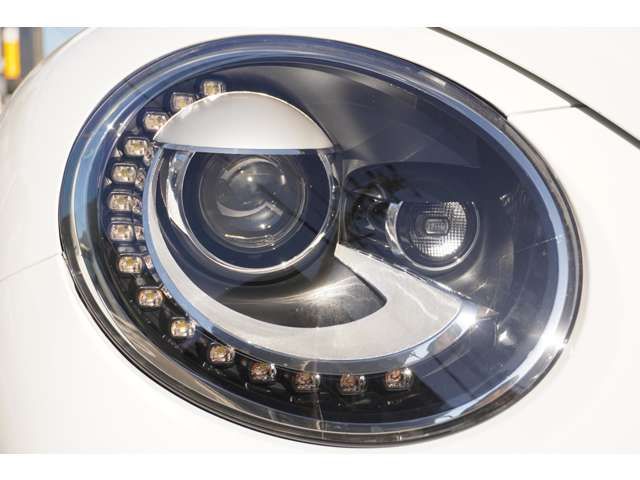 VOLKSWAGEN VOLKSWAGEN The BEETLE 2017