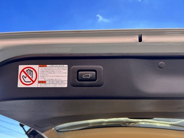 TOYOTA VELLFIRE 2020