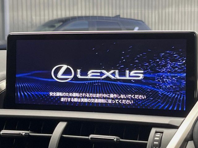 TOYOTA LEXUS NX300 2020