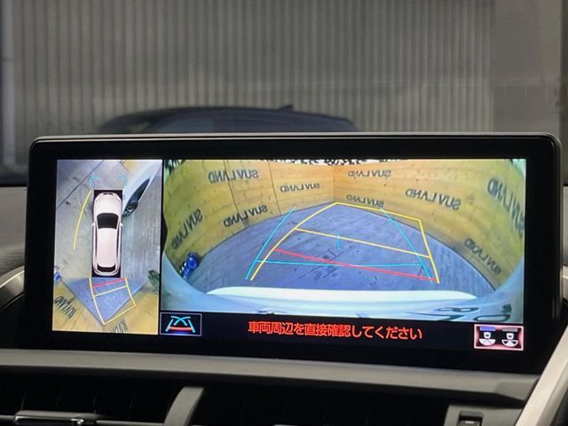 TOYOTA LEXUS NX300 2020