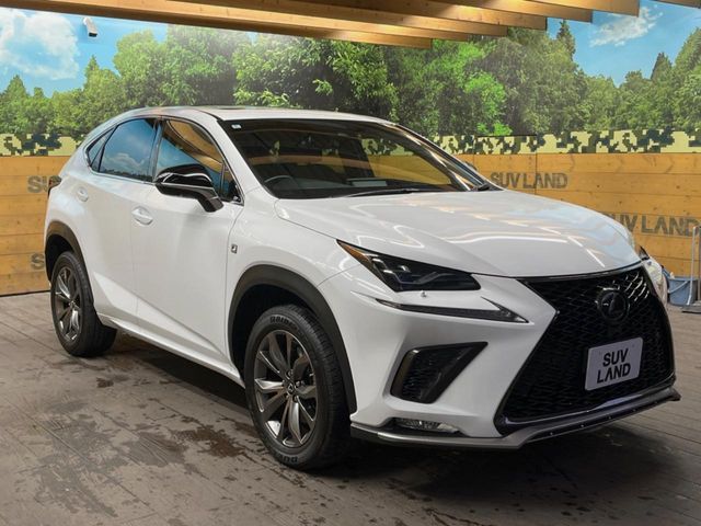 TOYOTA LEXUS NX300 2020
