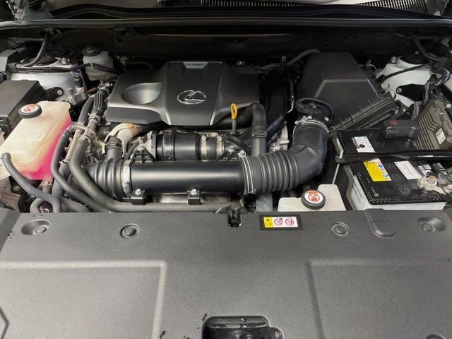 TOYOTA LEXUS NX300 2020