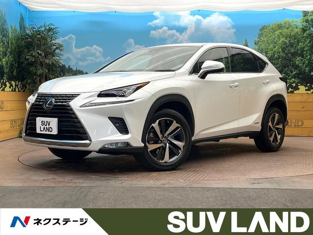 TOYOTA LEXUS NX300h 2021