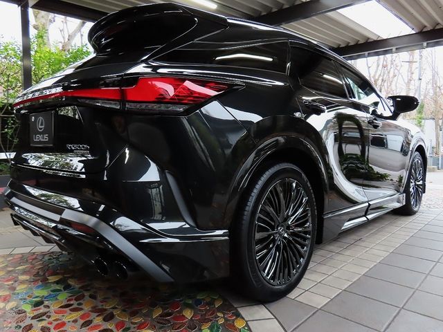 TOYOTA LEXUS RX500h 2024