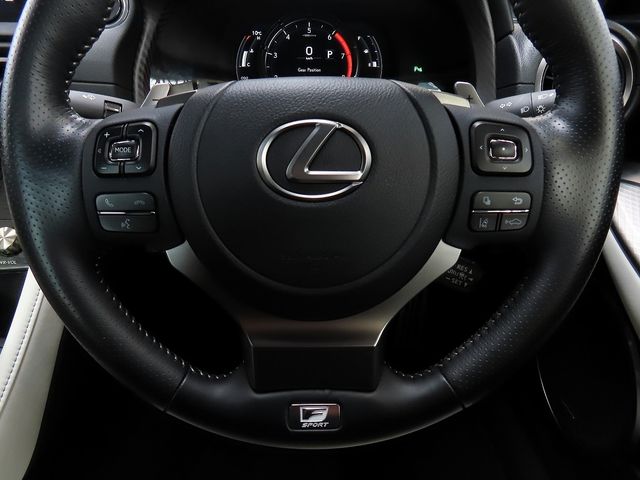 TOYOTA LEXUS RC300 2023