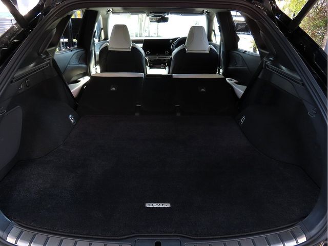 TOYOTA LEXUS RX500h 2025